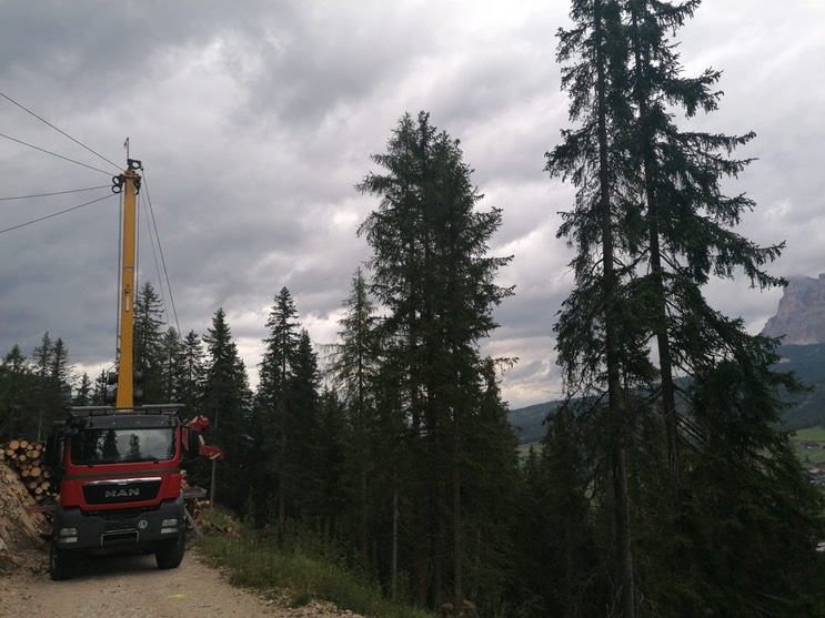 02f5d530-0073-4c82-8a32-1d9d5c5fffec