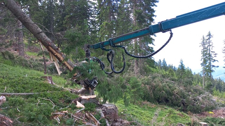 606ab226-9978-422a-b597-7f05d53e5351