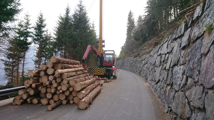 61a3d1aa-1cd5-4cda-a14e-beae242b7d28