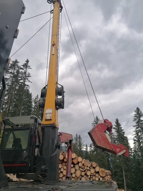 94976732-4f16-4a2a-9ae9-edc48dd84e7d