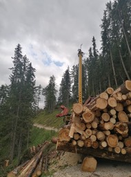 96c9ac05-e710-4147-9ac0-77a52dd1c03a