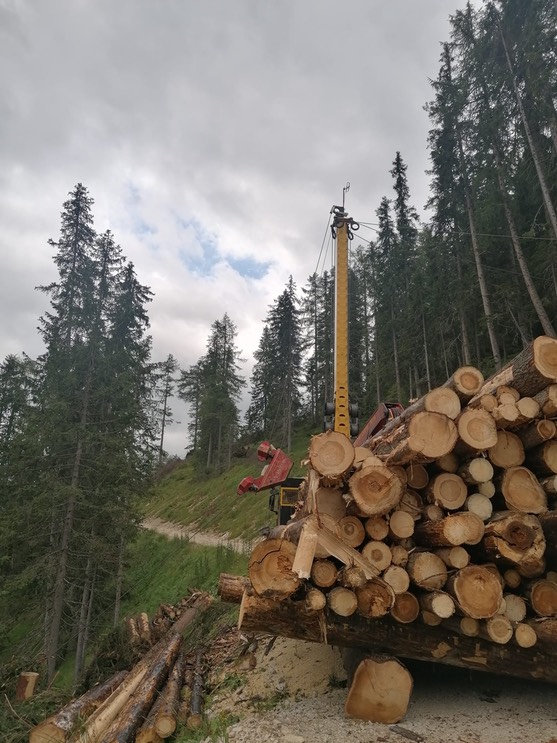 96c9ac05-e710-4147-9ac0-77a52dd1c03a